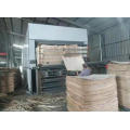 Fabricante secador de folheado / preço da máquina de secador de folheado / secador de folheado para venda